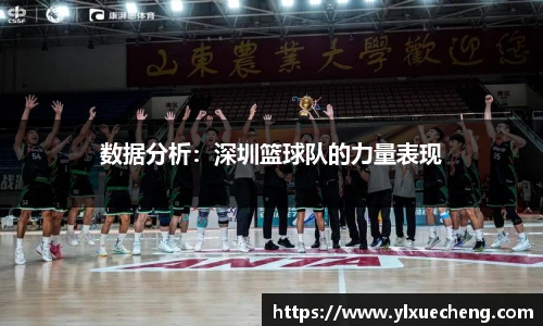 数据分析：深圳篮球队的力量表现